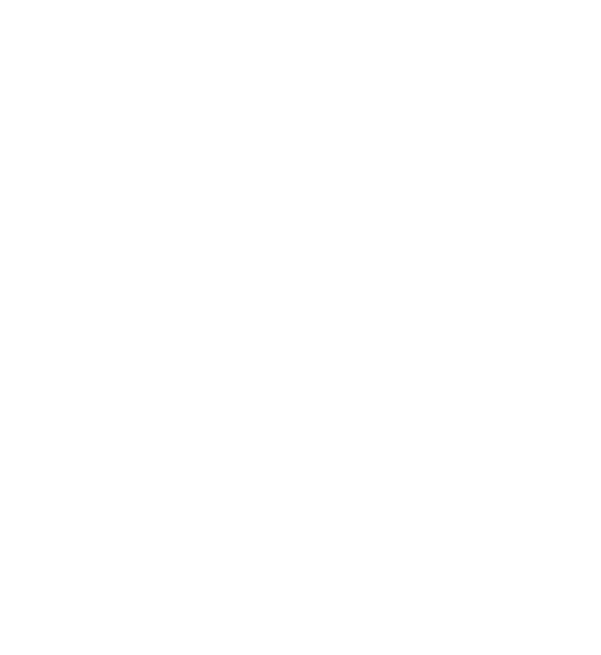Centro Bernstein - logo bianco